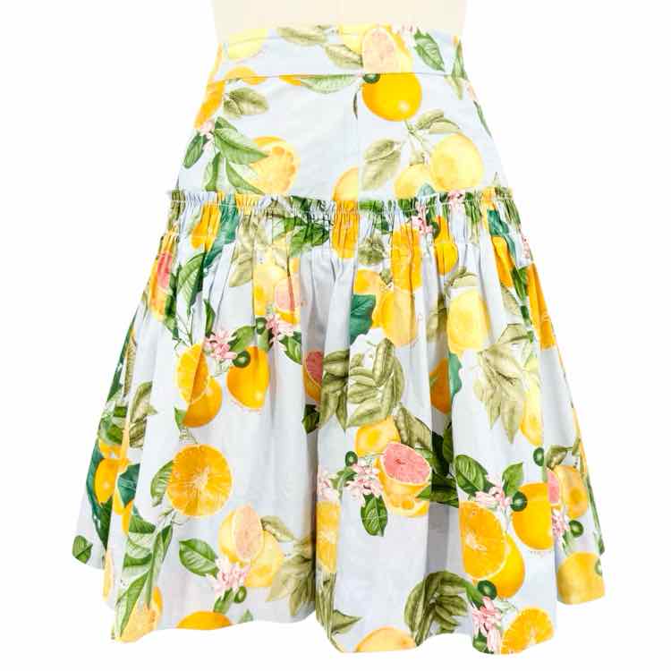 Cara Cara Skirt
