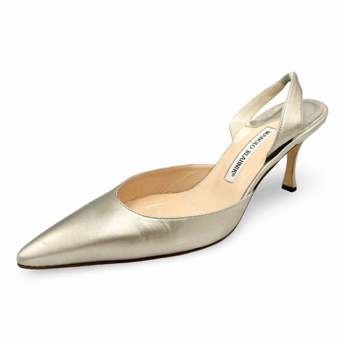 Manolo Blahnik Shoe