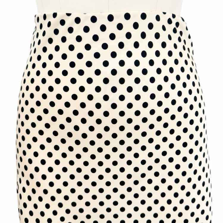 J. Crew Skirt