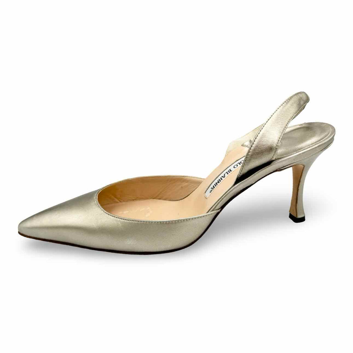 Manolo Blahnik Shoe