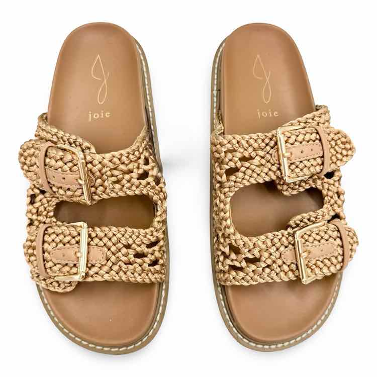 J Joie Shoe
