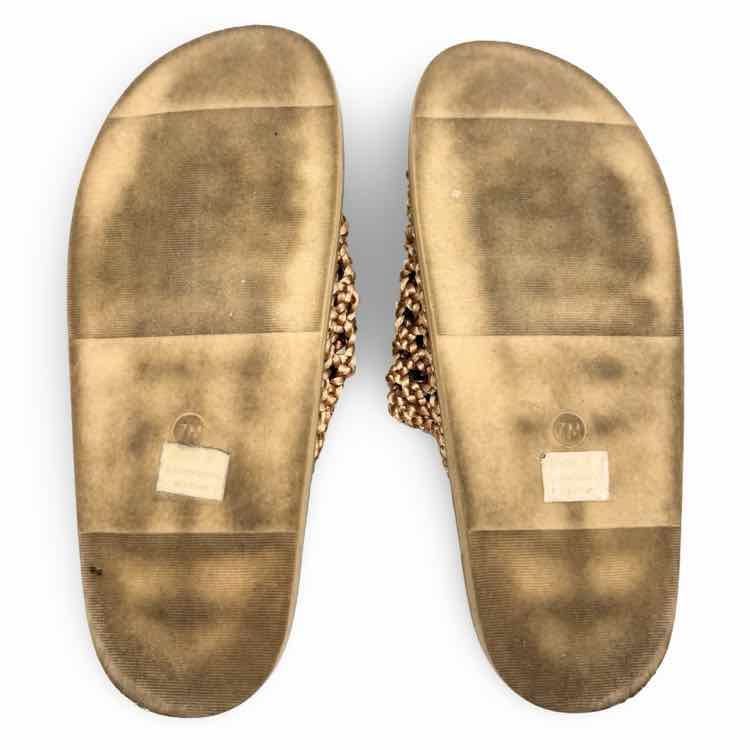 J Joie Shoe
