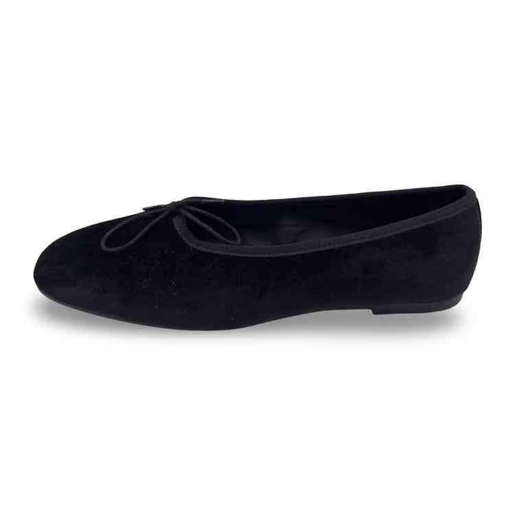 Everlane Shoe
