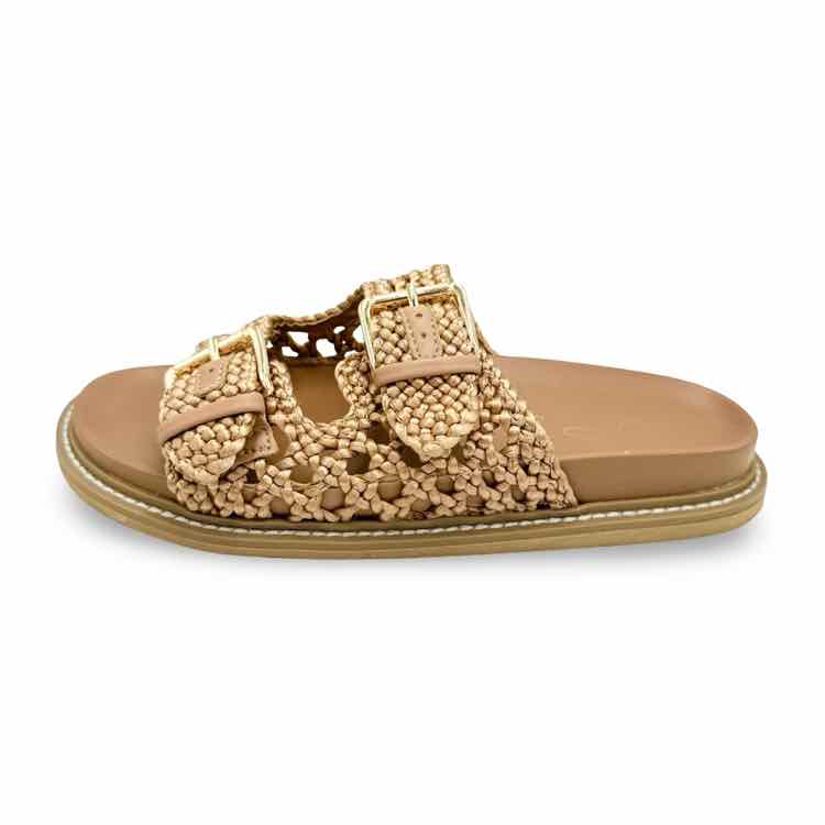 J Joie Shoe
