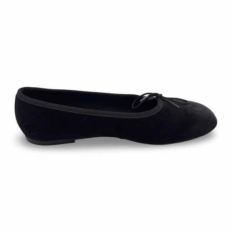 Everlane Shoe
