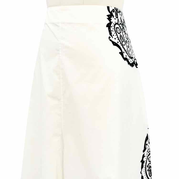 Chloe Skirts - Double Exposure Boutique
