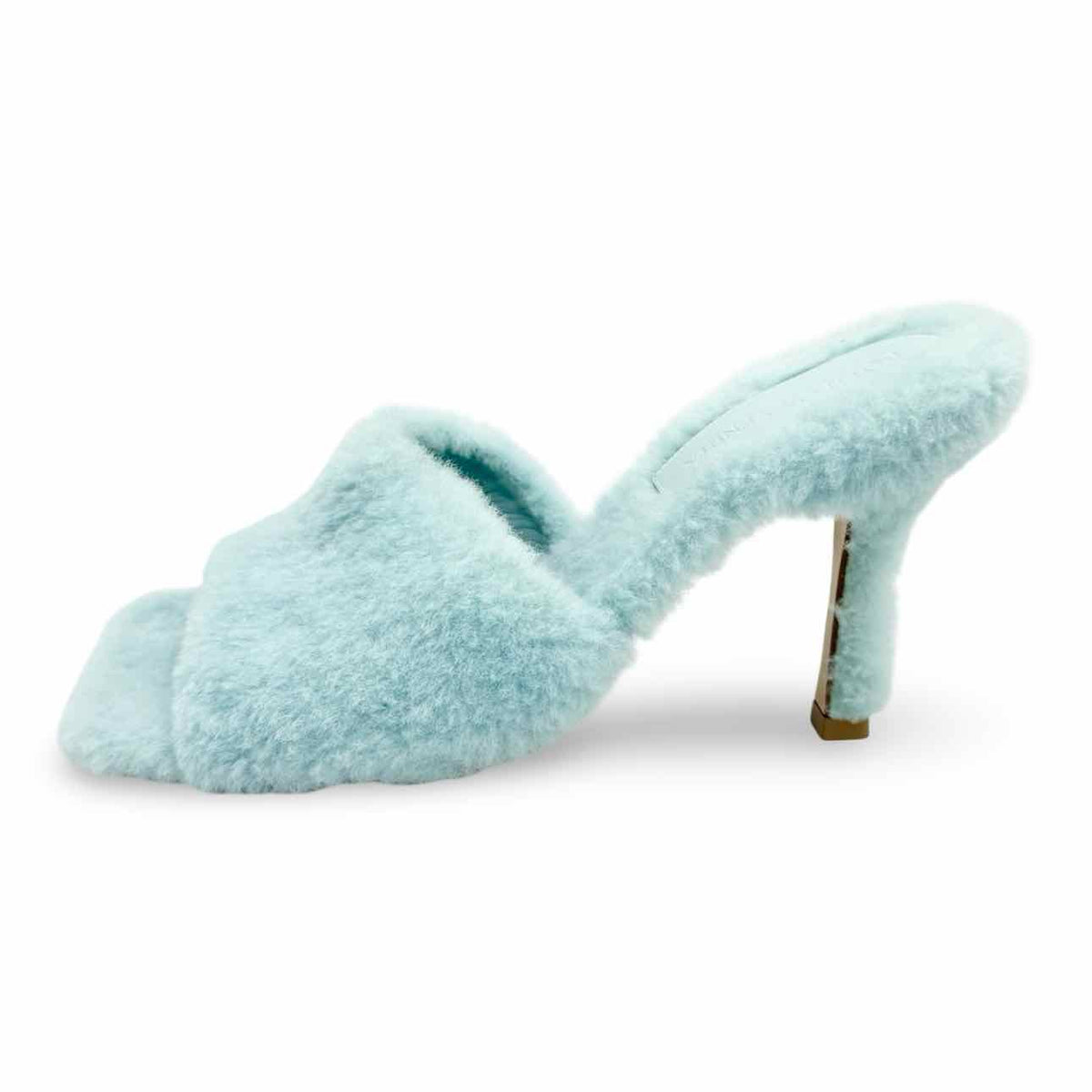 Bottega Veneta Shoe
