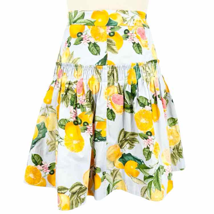 Cara Cara Skirt
