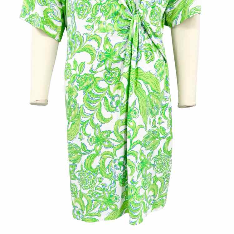Lilly Pulitzer Dress - Double Exposure Boutique
