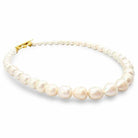 Susan Shaw CJ 10/25 - Double Exposure Boutique